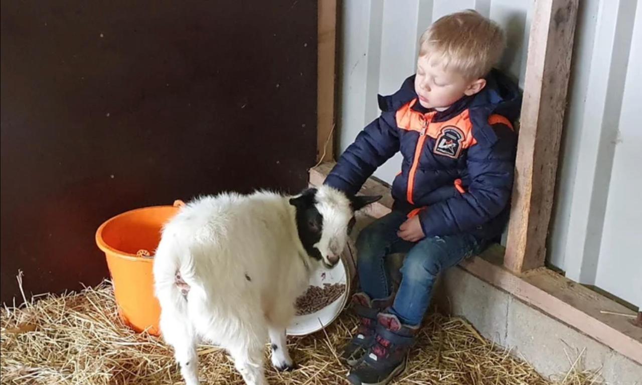 Vakantieboerderij Huize Nuis Noordbeemster Dış mekan fotoğraf