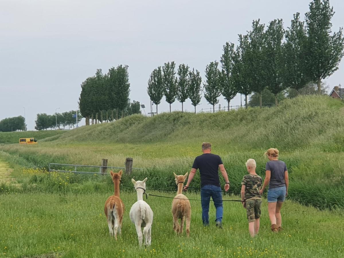 Vakantieboerderij Huize Nuis Noordbeemster Dış mekan fotoğraf