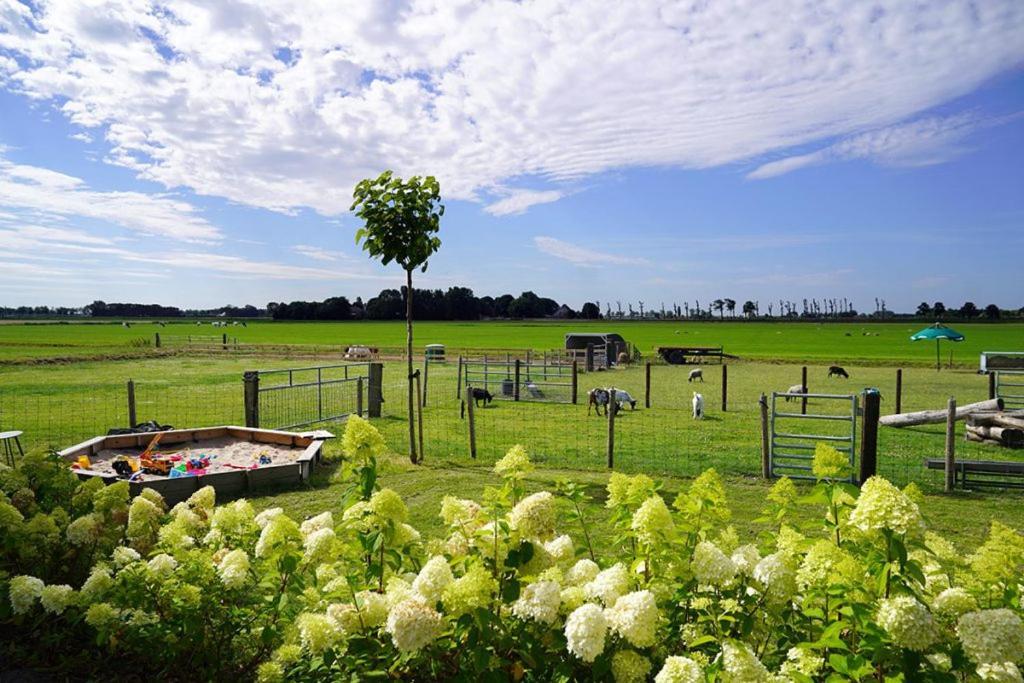 Vakantieboerderij Huize Nuis Noordbeemster Dış mekan fotoğraf